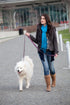 Eco Friendly Van Heemskerck Fashion Dog Leash, 5-Feet Long