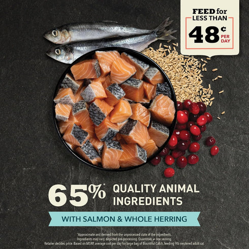 ACANA Bountiful Catch Dry Cat Food, Salmon and Whole Herring Recipe, 10 lb