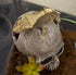 Komodo Reptile Terrarium Realistic Half Human Skull Ornament Decor, Easy to Clean Aquarium Decoration Accessory