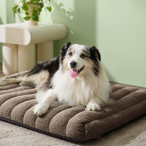Lesure 4 Inch Thick Orthopedic Foam Dog Bed, Large Dogs, Waterproof Chic Flat Bed with Removable Cover, Cute Fuzzy