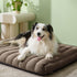 Lesure 4 Inch Thick Orthopedic Foam Dog Bed, Large Dogs, Waterproof Chic Flat Bed with Removable Cover, Cute Fuzzy