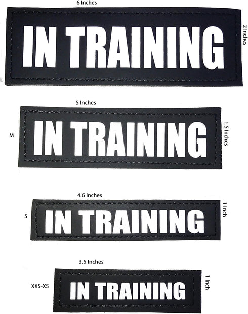 Albcorp Reflective In Training Patches with Hook Backing for Service Animal Vests, Large (6 X 2) Inch