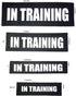 Albcorp Reflective In Training Patches with Hook Backing for Service Animal Vests, Large (6 X 2) Inch