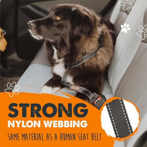 Mighty Paw Dog Seat Belt for Car, Heavy-Duty Design with Aviation Grade Aluminum Carabiner, Adjustable Harness for Pets