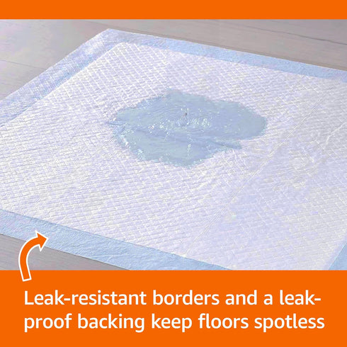 5-Layer 22 22 Inch, 100 Count Amazon Basics Scented Dog and Puppy Potty Training Pee Pads, Leak-Proof Super Absorbent