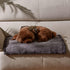 Kritter Planet Waterproof Blanket for Dogs, Pee Proof Sherpa Fleece Reversible Cover for Couch or Bed
