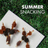Dog Treats, K9 Kabobs for Dogs Made with Real Chicken and Duck, 12 Ounces, Healthy, High Protein Dog Treat, Long-Lasting