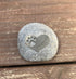 Comforting Dog Memorial Gift - Sympathy or Condolence Gift for Loss of Pet, In Loving Memory Stone by Whitney Howard