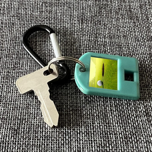 Replacement Golf Cart Keys, Ignition Key for Club Car DS 1982-Up, 2 pcs, Two Styles at Random