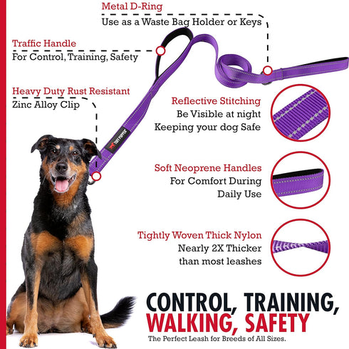 Tuff Pupper Heavy Duty Dog Leash with Double Handle, Reflective Safety Locking Carabiner for Medium & Large Dogs