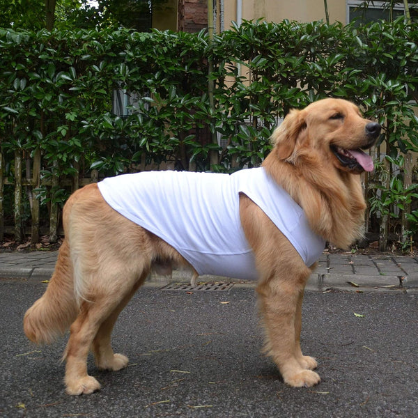 2018 Pet Clothes Dog Clothing - Classic Blank T-shirt Tanks Top Vests for Small, Medium, Large Dogs (XXXL, White)