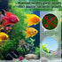 Pangda 12 U4 Pcs Carbon Filter Foam Pads and Foam Filters Compatible with Range of Internal Underwater Sponge Aquarium