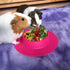 Tip-Proof Bowl for Guinea Pigs and Other Small Pets - Fuchsia (Pink), Large 3/4 Cup Size
