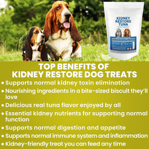 Kidney Restore Tuna Dog Treats - Special Low Protein Snacks for Canine Kidney Health, Renal Dog Treats