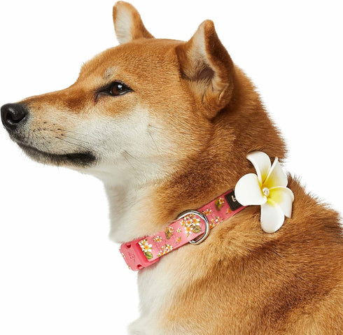 Blueberry Pet Summer Sparkle Dog Collar, Adjustable Large Size, Neck 18"-26", Tropical Flower Baby Pink Hibiscus Floral