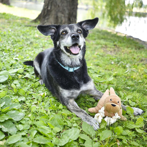 Stuffed Walrus Plush Toy for Dogs, Cute Durable Animal Chew Toy, Eco-Friendly Materials for Puppies and Adult Dogs