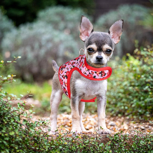 Mile High Life Velcro Dog Harness, Air Mesh Floral Vest for Small Dogs & Cats, Adjustable Easy Closures (Peony Rose, S)