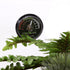 REPTI ZOO Reptile Terrarium Hygrometer, Dial Gauges for Pet Rearing Box