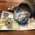 3 FUZZU Fast Food Cat Storybook | Interactive Cat Toy | Cat Activity Toy | Cat Game Board | Colorful Storybook |