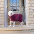 Lucky Pooch Dog Robe - Luxurious Dog Bathrobe - Ultra Absorbent Dries Your Dogs in Minutes! Double-Layer, Super Soft