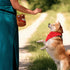 Wildy Dog Treat Pouch - Easily Carries Pet Toys, Kibble, Treats, Poop Bag Dispenser, Ideal for Puppy Training
