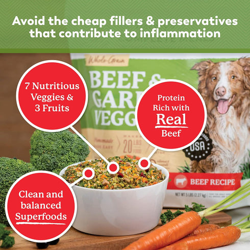 Dr. Harvey's Beef & Garden Veggies Dog Food, Human Grade Whole-Grain Dehydrated Food with Freeze-Dried Beef, 5.5 Ounces