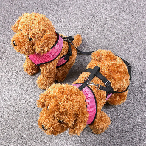 CozyCabin Dual Durable Dog Leash Strap, No-Tangle for 2 Dogs, Cats, Small Pets for Walking & Training