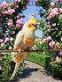 Magnoloran 2Pcs 80 Inch Bird Diapers Bird Harness Flight Suits Diapers with Flying Leash Parrot Nappy Washable Cute