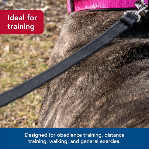Coastal Train Right Cotton Web Dog Training Leash – Red – 5/8" x 15'