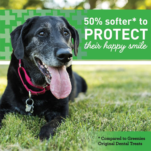 Greenies Aging Care TEENIE Natural Dental Care Dog Treats, 27 oz, Pack (96 Treats)