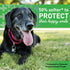 Greenies Aging Care TEENIE Natural Dental Care Dog Treats, 27 oz, Pack (96 Treats)