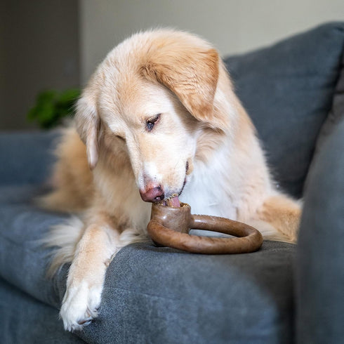 Ring Stuffer Durable Chew Toy for Aggressive Chewers, Real Beef, Made in USA, Large