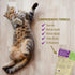 Pet Naturals Daily Multivitamin for Cats, 30 Fish Flavored Chews with Biotin, Taurine, and Arginine
