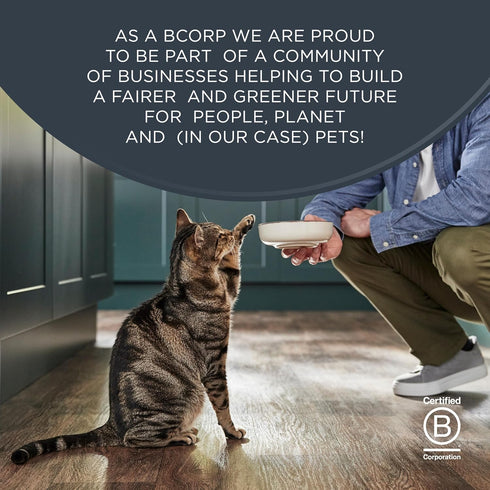 (6 3oz Reveal Natural Wet Cat Food, Limited and Natural Ingredients, Grain Free, High Protein with No Artificial