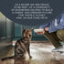 (6 3oz Reveal Natural Wet Cat Food, Limited and Natural Ingredients, Grain Free, High Protein with No Artificial