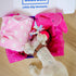 Pink Dog Gift Box - Puppy Care Package with 5 Chew Toys, Dog Blanket, Squeaky Plush, Rubber Teether, and Treat Ball