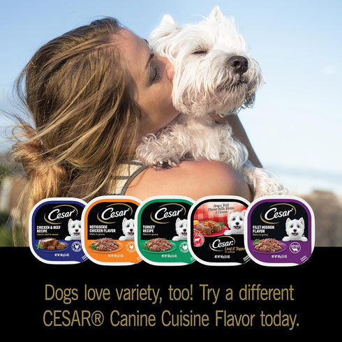 CESAR Adult Wet Dog Food Classic Loaf in Sauce, Poultry Lovers Variety Pack, 3.5 oz. Easy Peel Trays, Pack of 36