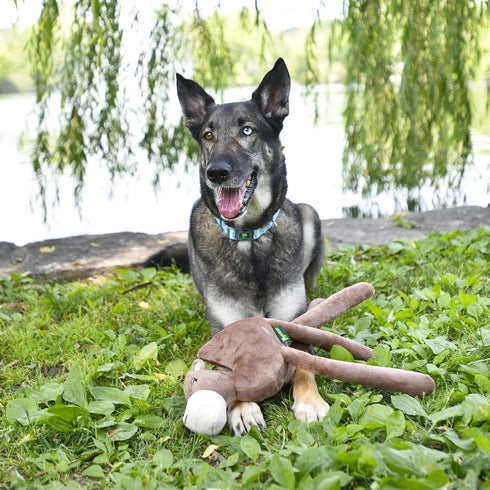 Stuffed Camel Plush Toy for Large Dogs | Cute Durable Squeaky Chew Toys for Puppies and Adult Dogs