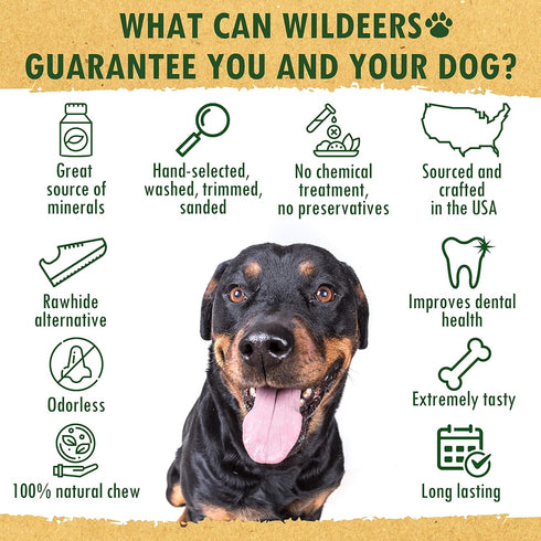 Wildeers Large Deer Antlers for Dogs - Premium Antler Chews - Made in USA, Naturally Shed, Healthy Treat - Grade A, 7-9