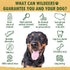 Wildeers Large Deer Antlers for Dogs - Premium Antler Chews - Made in USA, Naturally Shed, Healthy Treat - Grade A, 7-9