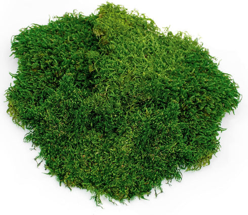 Galápagos Sheets of Real Moss, 8-Quart, Natural Green, Model 05248