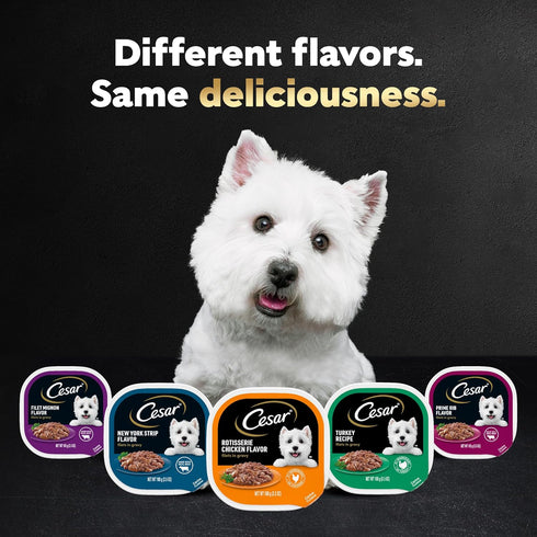 CESAR Filets in Gravy Adult Wet Dog Food, Variety Pack with Filet Mignon, New York Strip, and Prime Rib, 3.5 oz.