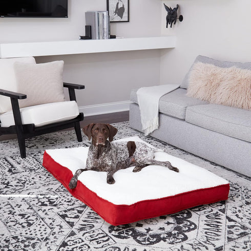Happy Hounds Daisy Deluxe Supportive Sherpa Dog Bed, Large (48 x 36 in.), Red