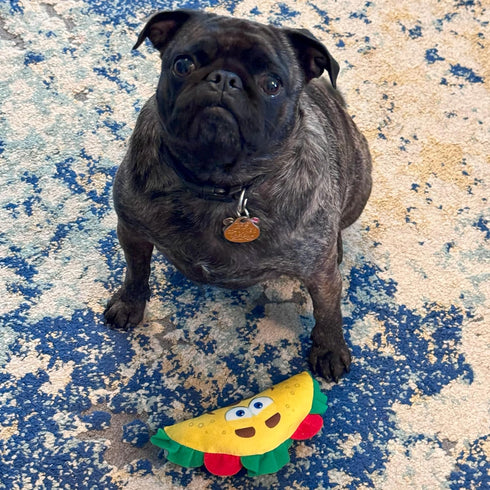 SPOT 6in Fun Food Taco Plush Dog Toy with Squeaker - Interactive Soft, Squeaky Toy for Dogs and Puppies, Keeps Pets