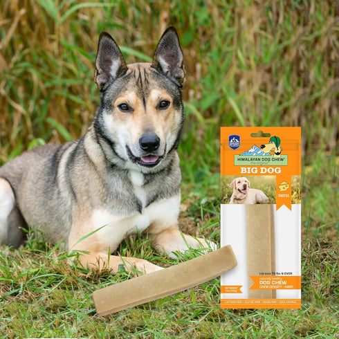 Himalayan Dog Chew - Dog's Treat with Yak and Cow Milk