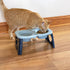 SPORT PET Elevated Travel Folding Bowls - Blue