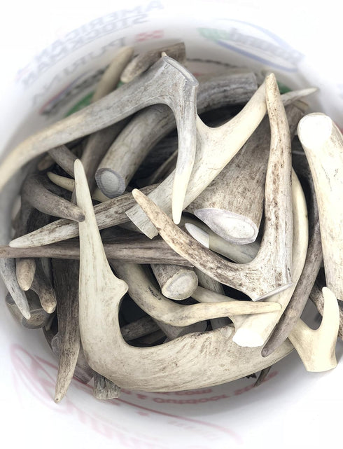 Premium Deer Antler Dog Chew Toys, 1 LB Splits, Points, & Tines
