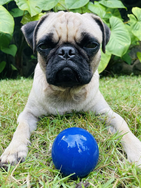 Tuff Pupper SuperChewy Tough Dog Ball Toy, Strong Natural Rubber Fetch Toy for Aggressive Chewers