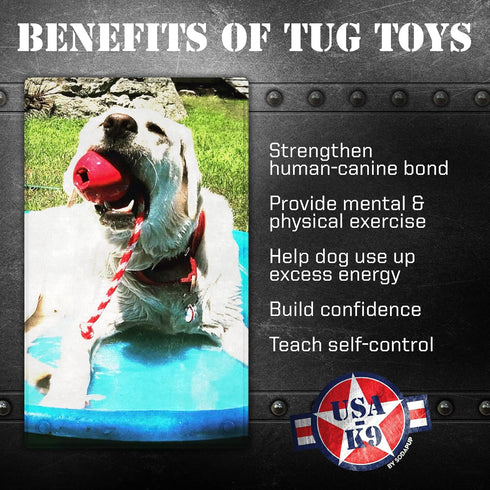 SodaPup USA-K9 Cherry Bomb - Durable Dog Tug Toy, Treat Dispenser & Chew Toy Made in USA from Non-Toxic Rubber