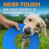 Nerf Dog Tire Flyer Outdoor Dog Toy - 10 Inch Flying Disc for Medium and Large Dogs, Blue